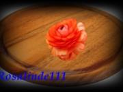 Pizza - Mexiko - Rezept