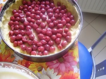 Rezept: Kirschkuchen von Gabi Bild Nr. 8 Kirschkuchen von Gabi - Rezept - Bild Nr. 8