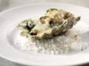 gratinierte Austern - Rezept