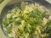 Farfallesalat mit Rucola und Walnüssen - Rezept