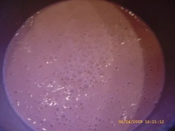 Erdbeer-Biskuitrolle mit Vanille-Quarkcreme - Rezept - Bild Nr. 14