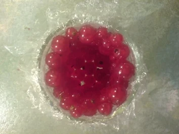 Dessert "Kleine Beeren-Bomben" - Rezept - Bild Nr. 4