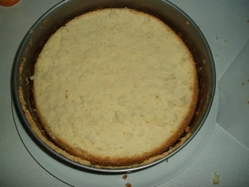 Holunderblütensaft Topfentorte - Rezept - Bild Nr. 2