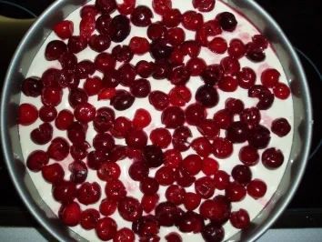 Rezept: Weichsel - Topfentorte Bild Nr. 5 Weichsel - Topfentorte - Rezept - Bild Nr. 5