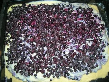 Rezept: Blaubeerkuchen Bild Nr. 4 Blaubeerkuchen - Rezept - Bild Nr. 4