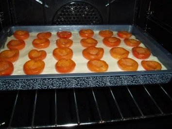 Marillen - Topfen - Schnitten - Rezept - Bild Nr. 2