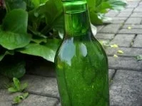 Holunderblütensirup - Rezept