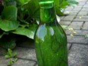 Holunderblütensirup - Rezept