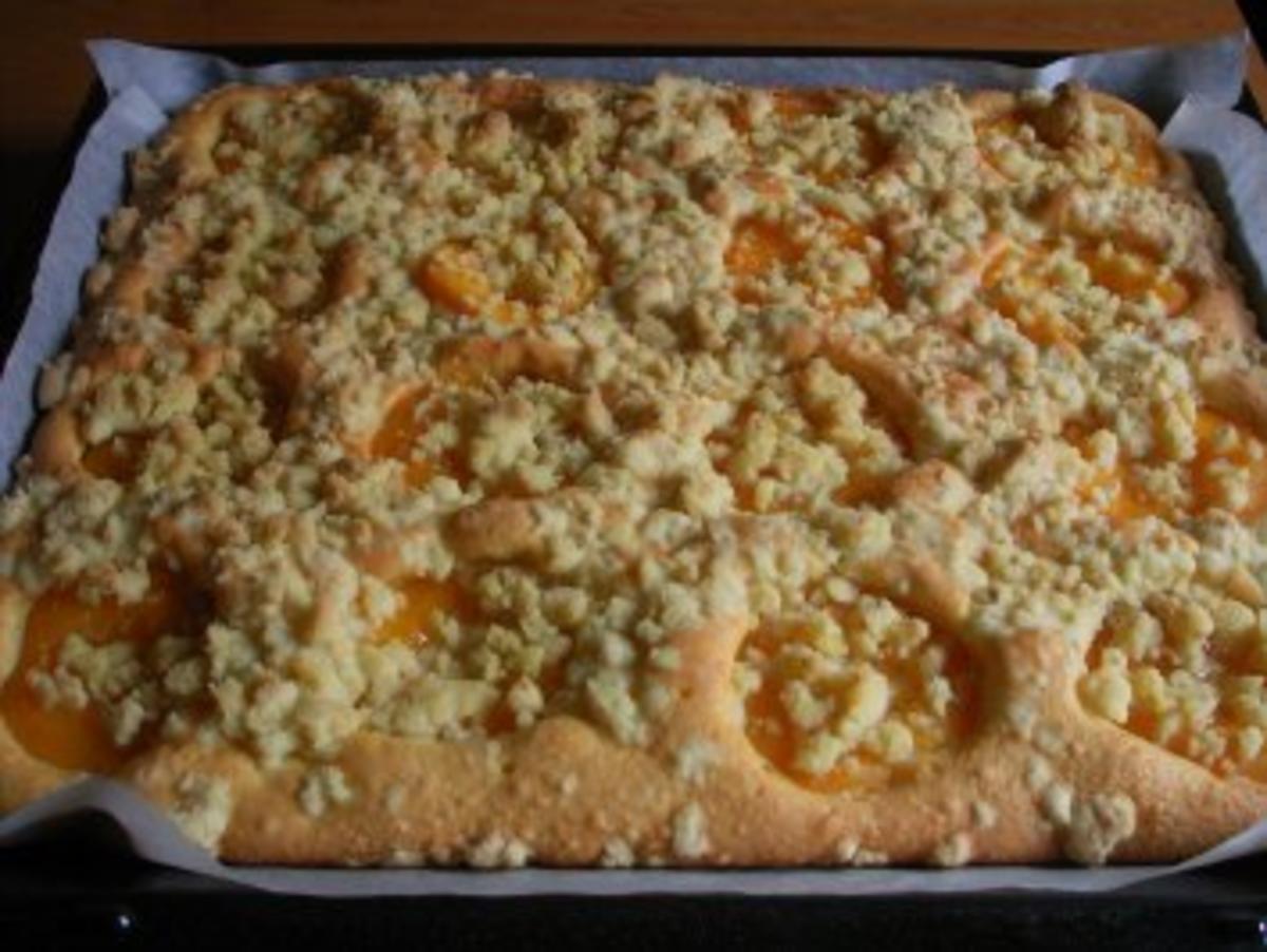 Pfirsich-Blechkuchen - Rezept mit Bild - kochbar.de