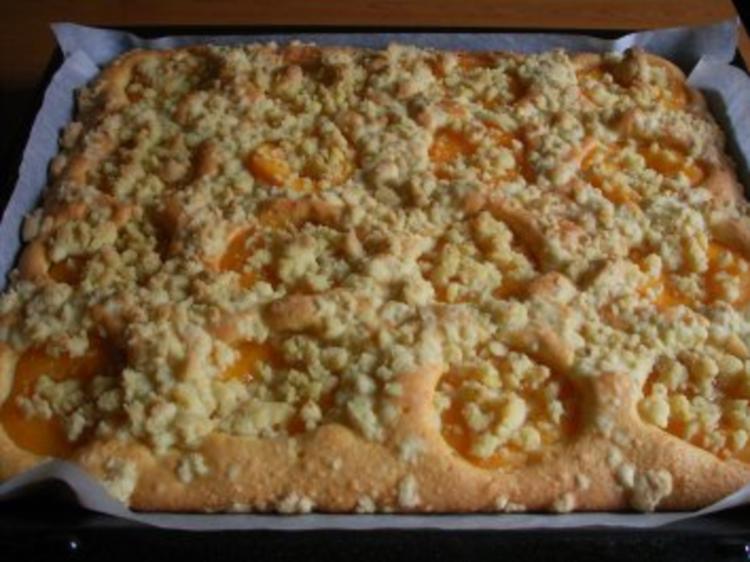 Pfirsich-Blechkuchen - Rezept mit Bild - kochbar.de