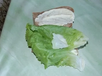 Bratwurst-Hot-Dog im Mehrkornbrötchen - Rezept - Bild Nr. 3