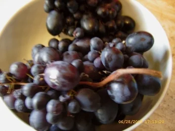 Rezept: Bowle Red Orange Bild Nr. 6 Bowle Red Orange - Rezept - Bild Nr. 6