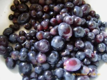 Rezept: Bowle Red Orange Bild Nr. 7 Bowle Red Orange - Rezept - Bild Nr. 7