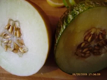 Rezept: Bowle Red Orange Bild Nr. 11 Bowle Red Orange - Rezept - Bild Nr. 11