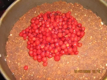 Rezept: Johannisbeer-Kirsch-Torte Bild Nr. 7 Johannisbeer-Kirsch-Torte - Rezept - Bild Nr. 7