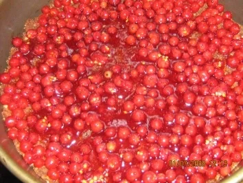 Rezept: Johannisbeer-Kirsch-Torte Bild Nr. 8 Johannisbeer-Kirsch-Torte - Rezept - Bild Nr. 8