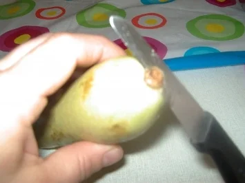 gefüllte Zucchini - Rezept - Bild Nr. 3