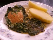 Lachsfilet-Auflauf mit Blattspinat - Rezept