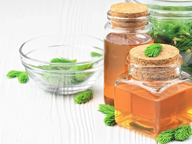 Fichtennadel-Sirup - Rezept - Bild Nr. 2