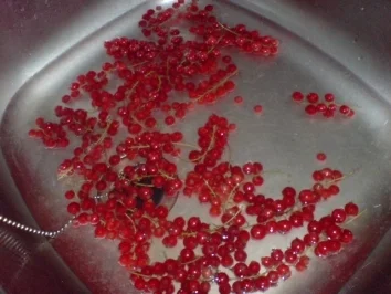 Rezept: Schnelle Johannisbeertorte Bild Nr. 11 Schnelle Johannisbeertorte - Rezept - Bild Nr. 11