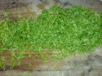 Budapester Schmorgurken - Rezept - Bild Nr. 15