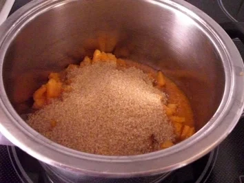 Rezept: Aprikosen-Ingwer-Chutney Bild Nr. 9 Aprikosen-Ingwer-Chutney - Rezept - Bild Nr. 9