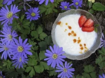 Selbstgemachter Vanilletraum - Rezept