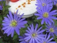 Selbstgemachter Vanilletraum - Rezept - Bild Nr. 2