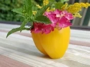 Dekotipp für laue Sommer- oder Grillabende - Rezept