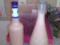 Rezept: Kirsch-Orangen-Likör Kirsch-Orangen-Likör - Rezept