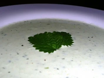 Frisches Sommersüppchen mit Gurke und Minze - Rezept - Bild Nr. 2