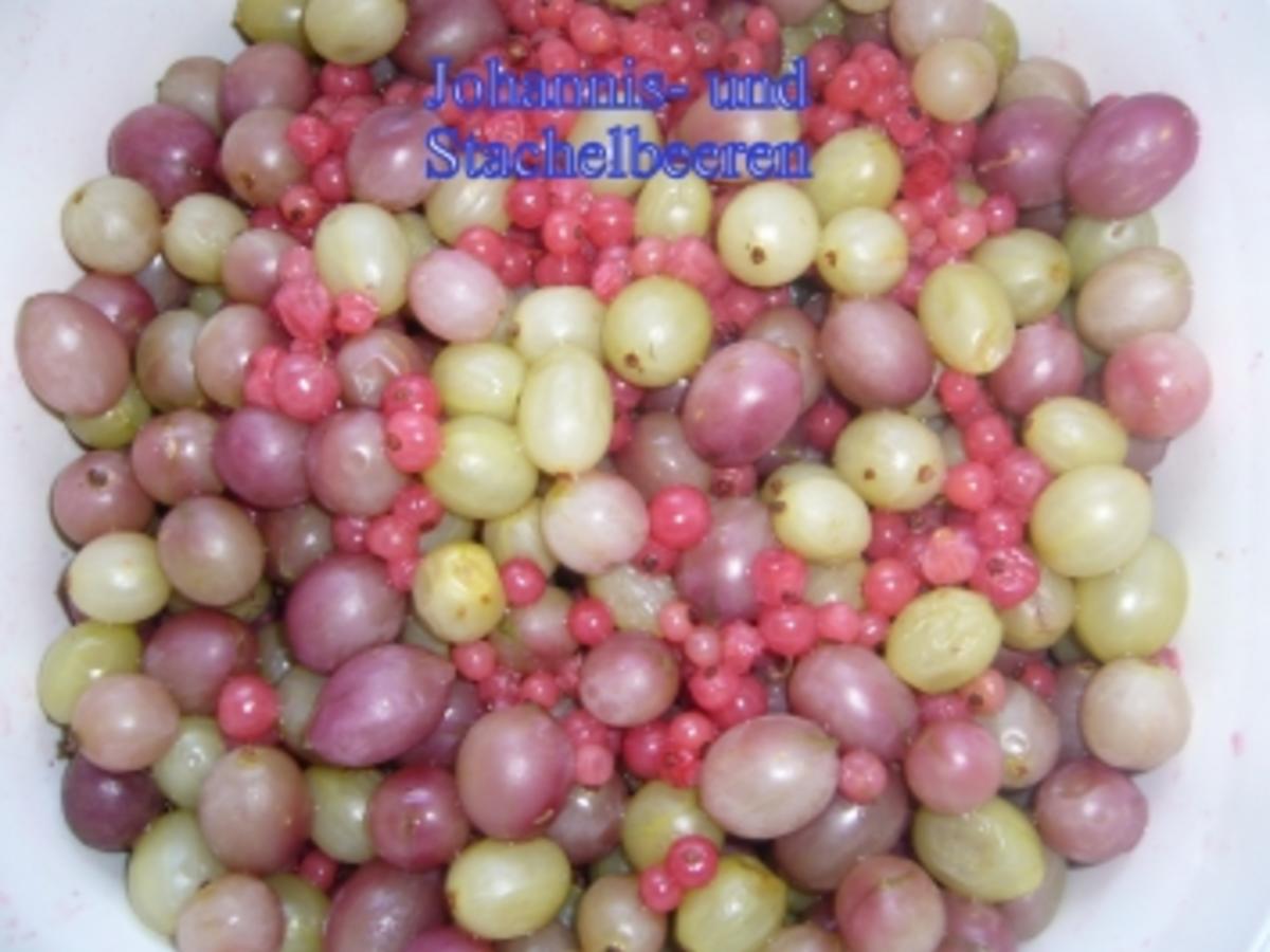Kuchen: Johannis Stachelbeer Kuchen - einfach - von bobbele