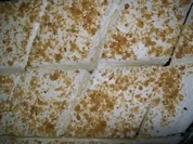 Schaumkuchen / Sampita - Rezept