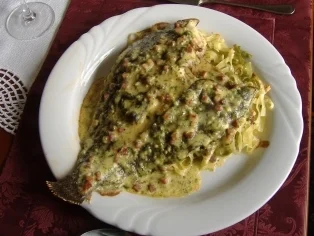 Rezept: Scholle auf Bandnudeln überbacken Scholle auf Bandnudeln überbacken - Rezept