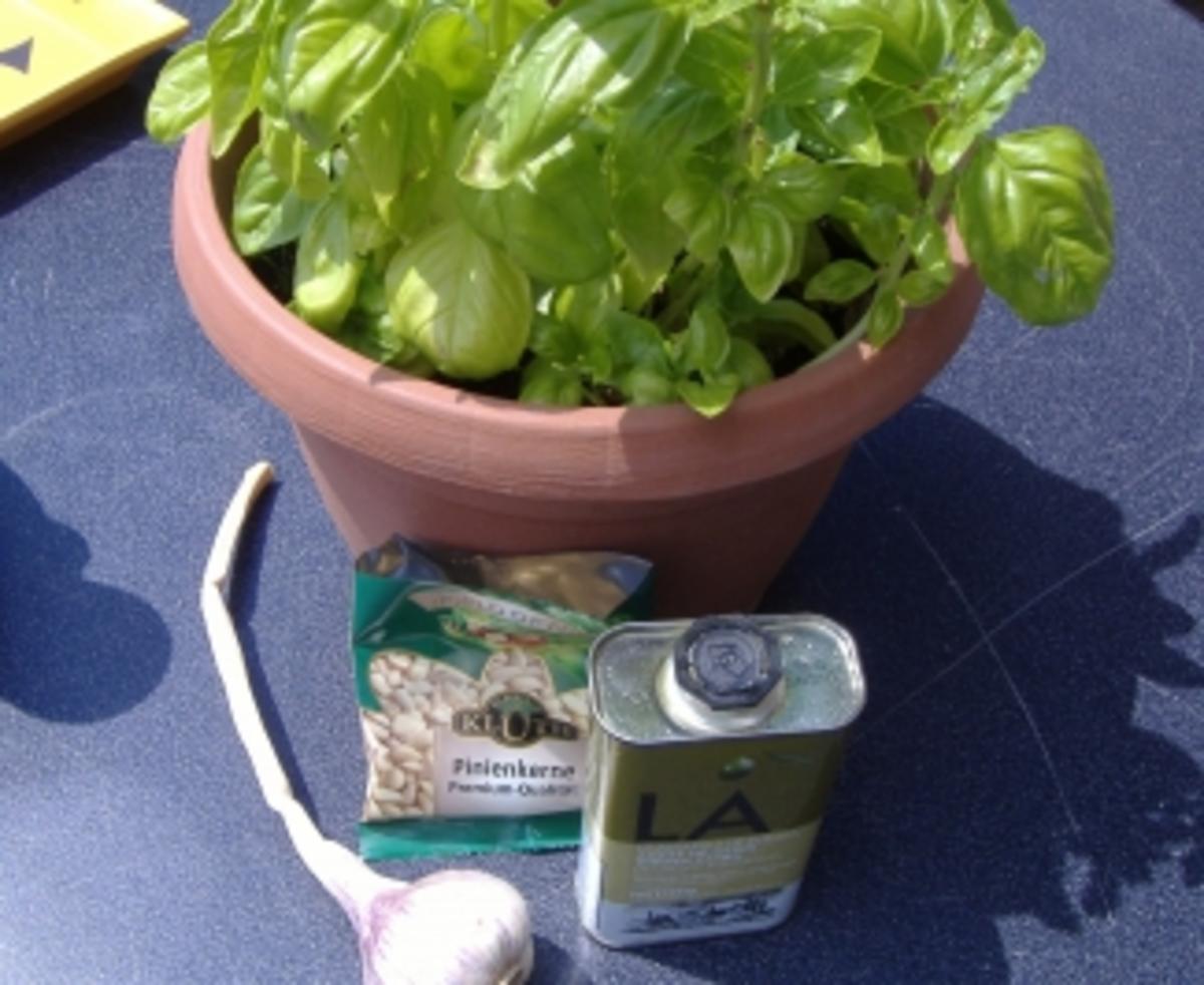 Pesto alla Genovese - Rezept - Bild Nr. 2