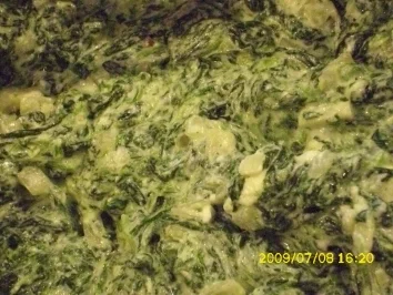 Rezept: Pasta: Vegetarische Canelloni Bild Nr. 3 Pasta: Vegetarische Canelloni - Rezept - Bild Nr. 3