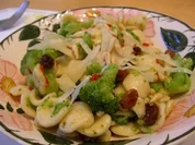 Orecchiette mit Broccoli - Rezept