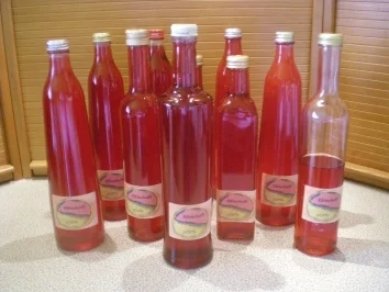 Rezept: Säfte : Ribisel / Johannisbeer Sirup Säfte : Ribisel / Johannisbeer Sirup - Rezept