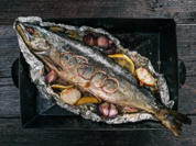 Ganzer Wildlachs aus dem Backofen - Rezept - Bild Nr. 2