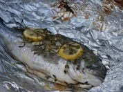 Rezept: Gekräuterte Dorade vom Grill Gekräuterte Dorade vom Grill - Rezept