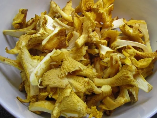 Eierschwammerlgulasch - Rezept - Bild Nr. 2