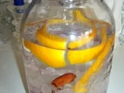 Kirschlikör mit Wodka - Rezept