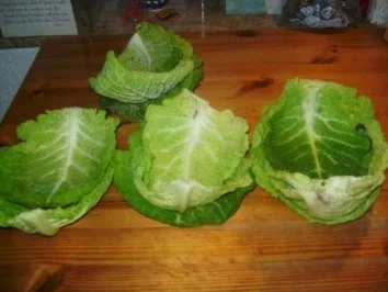 Grünkern - Wirsing - Rouladen - Rezept - Bild Nr. 3