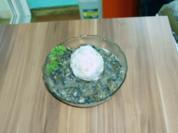 Rahmschwammerl sauer - Rezept