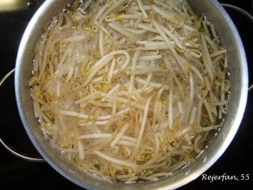 Rezept: Mungosprossen-Salat mit Schweinefilet Bild Nr. 5 Mungosprossen-Salat mit Schweinefilet - Rezept - Bild Nr. 5