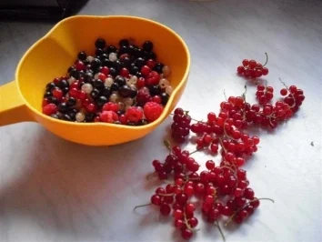 Rezept: 4-Frucht-Marmelade Bild Nr. 3 4-Frucht-Marmelade - Rezept - Bild Nr. 3