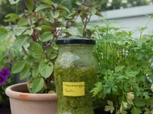 Sauerampferpesto auf Crostini - Rezept