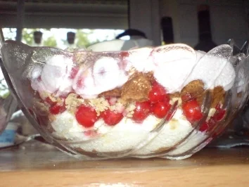 Rezept: Johannisbeer Traum Bild Nr. 2 Johannisbeer Traum - Rezept - Bild Nr. 2