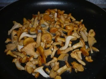 Rigatoni mit selbst gesuchten Pfifferlingen - Rezept - Bild Nr. 4