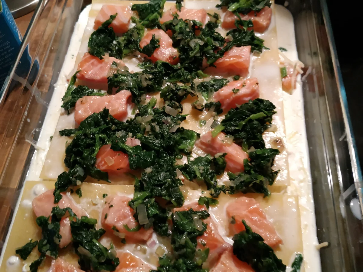 Lachslasagne - Rezept - Bild Nr. 13619